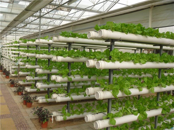 鹤岗市鱼菜共生种植槽 - 一站式服务