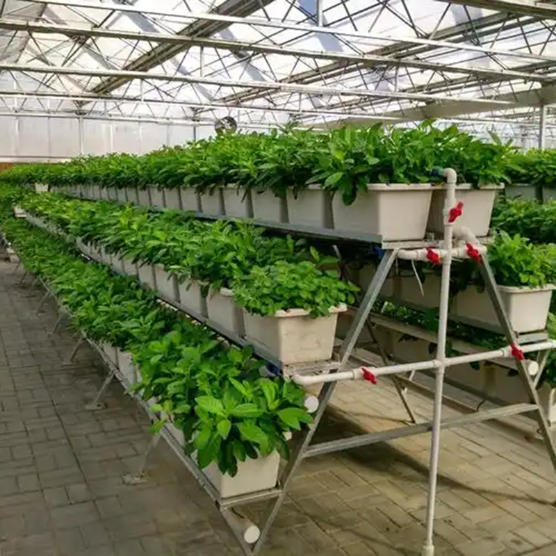 鹤岗市植物工厂温室大棚 - 推荐