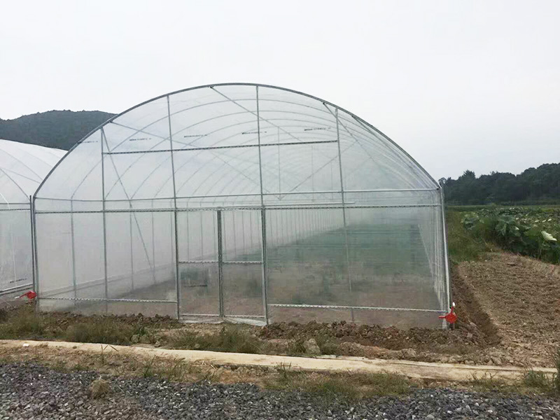 鹤岗市薄膜大棚玻璃温室 - 推荐